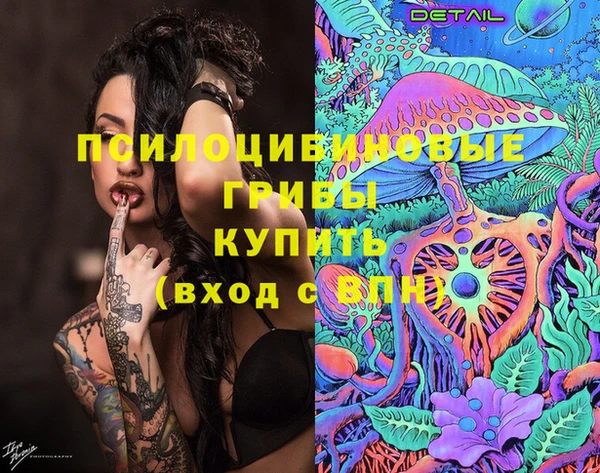 кокс Инта