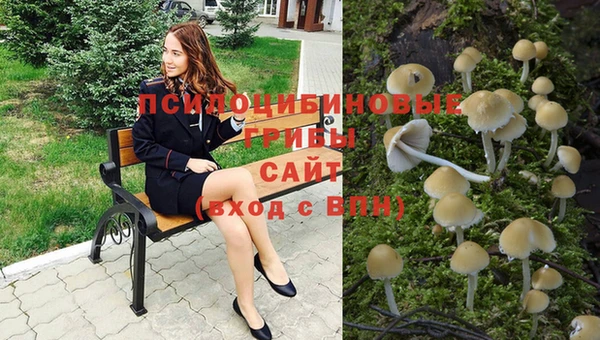 прущая мука Иннополис