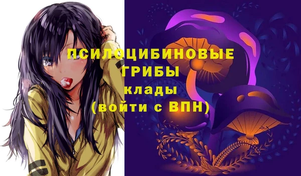 кокс Инта