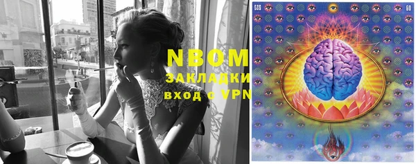 кокс Инта